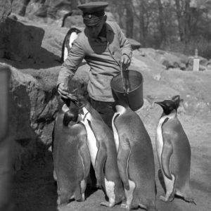 Humans and their animals Humans and their animals